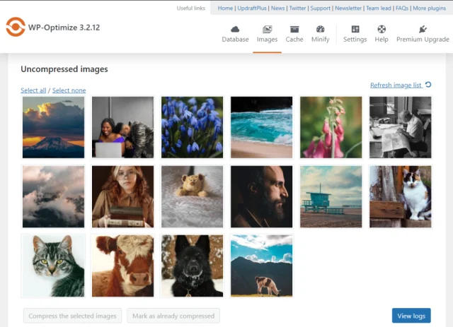 WP-Optimize images